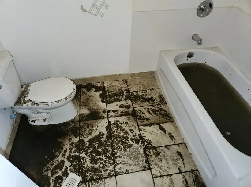 Sewage that backed up over a bathroom floor and into the tub